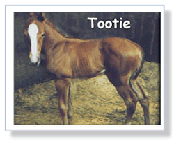 Tootie